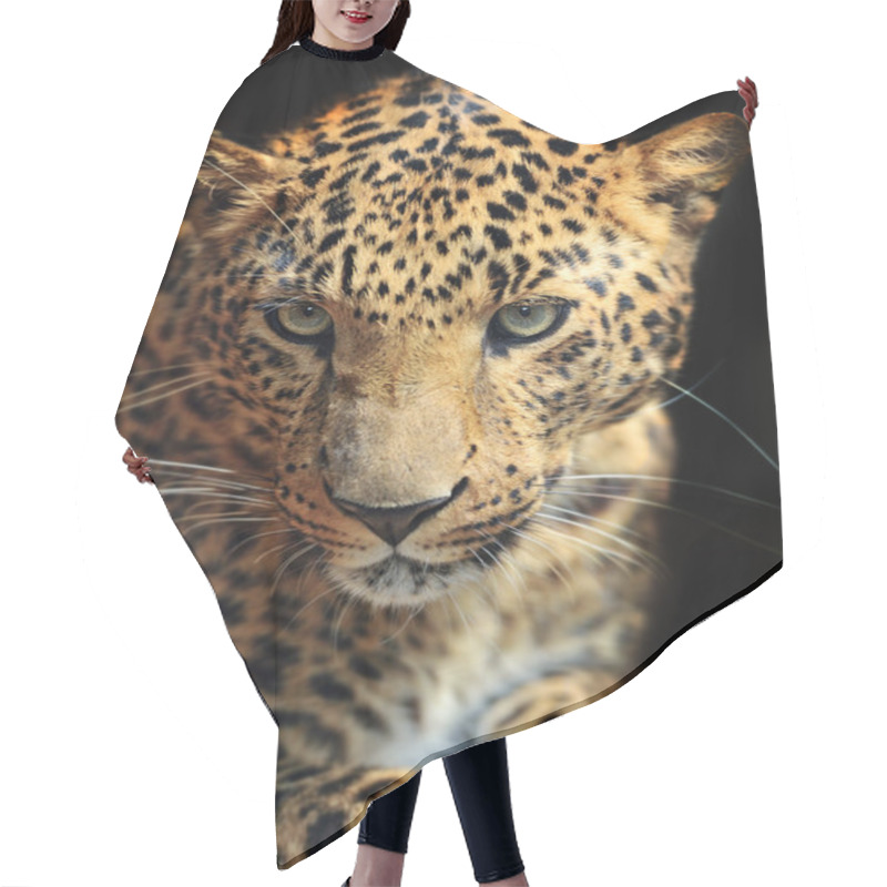 Personality  Leopard Hair Cutting Cape