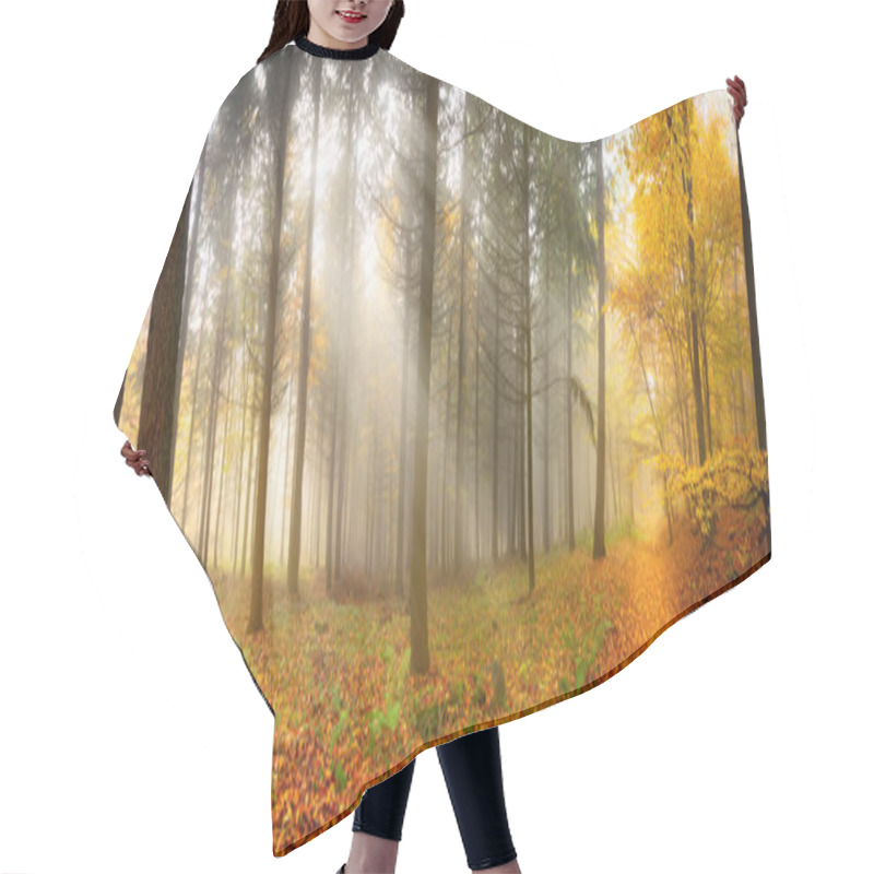 Personality  Misty Autumn Forest With Beautiful Rays Of Soft Light Hair Cutting Cape