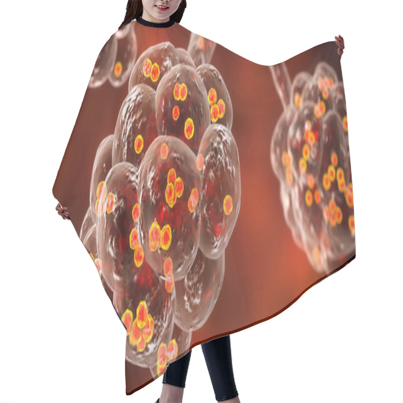 Personality  Staphylococcal Pneumonia, Medical Concept. 3D Illustration Showing Bacteria Staphylococcus Aureus Inside Alveoli Hair Cutting Cape