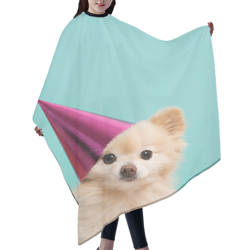 Personality  Dog With Birthdau Hat At Blue Background Hair Cutting Cape