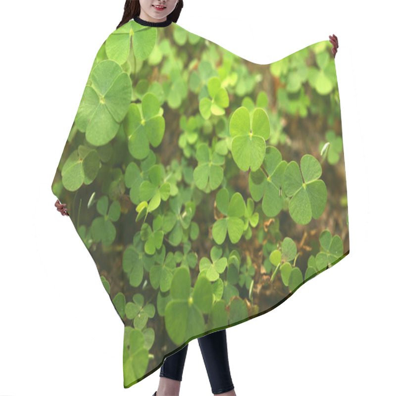 Personality  4 Leaf-Clover Forest Hair Cutting Cape