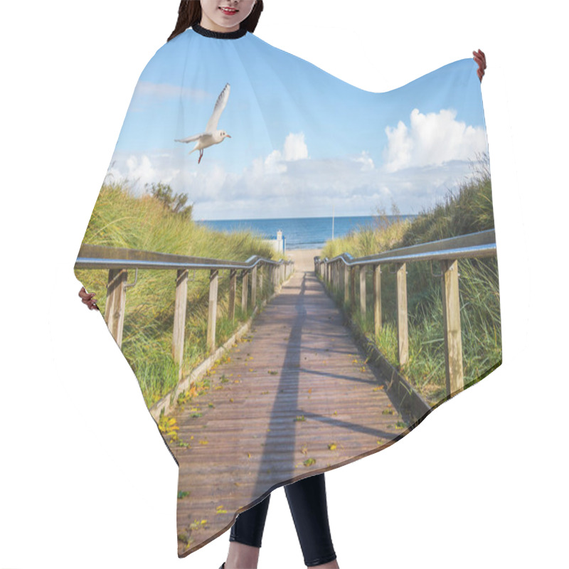 Personality  Beach Path To The Sea  Hair Cutting Cape