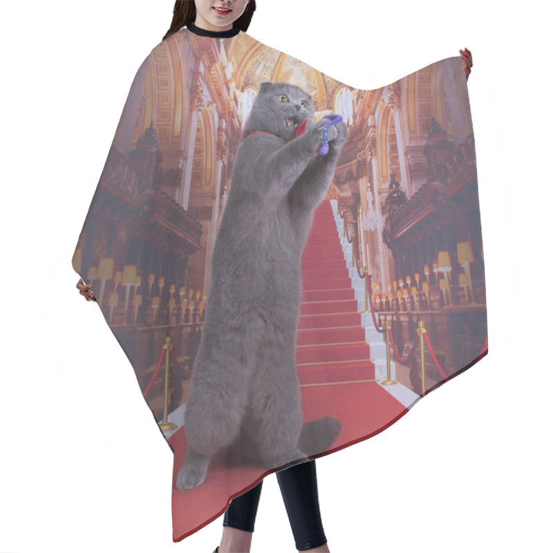 Personality  Important Scottish Fold Cat On The Red Carpet Hair Cutting Cape