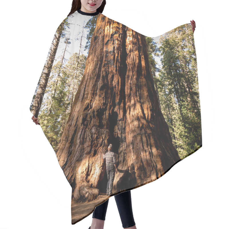 Personality  Giant Sequoia Tree In The Sequoia National Park Hair Cutting Cape