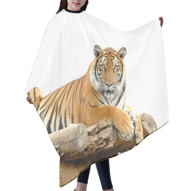 Personality  Bengal Tiger Hair Cutting Cape