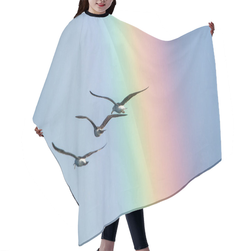 Personality  Flying Seagulls Over The Ocean Hair Cutting Cape