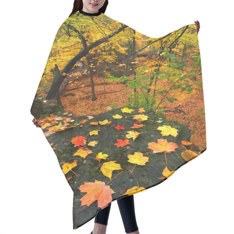 Personality  Beautiful Autumn Illinois Landscape Hair Cutting Cape