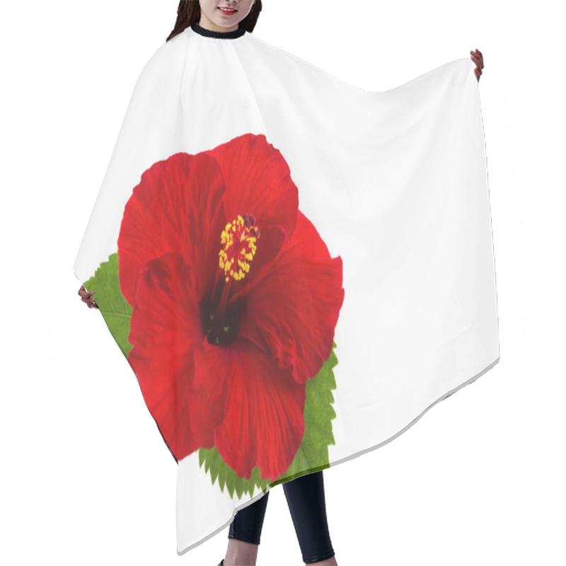 Personality  A Red Hibiscus Flower Isolated. Hair Cutting Cape