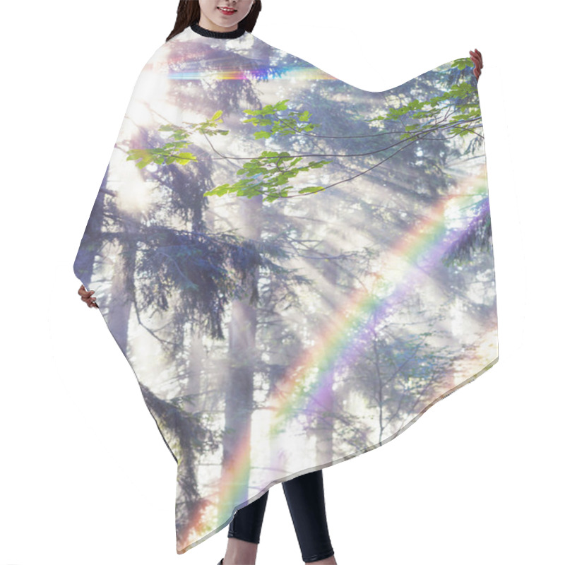 Personality  Golden Rays Of Spruce Forest Hair Cutting Cape