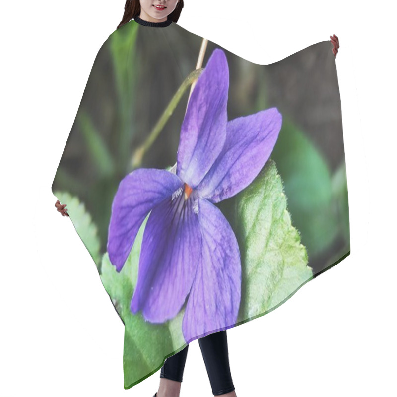 Personality  Beautiful Violet Flower In The Garden Hair Cutting Cape