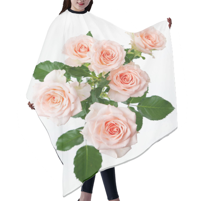 Personality  Bunch Of Rose Flowers On White Background Hair Cutting Cape