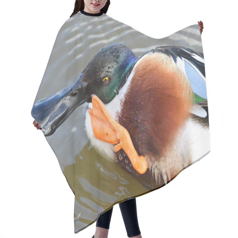 Personality  Northern Shoveler Duck (Spatula Clypeata) Hair Cutting Cape