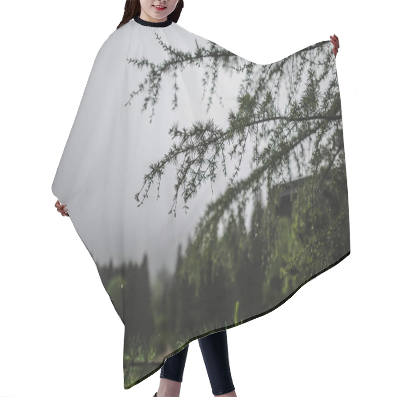 Personality  Mountain Forest In Misty Weather Hair Cutting Cape