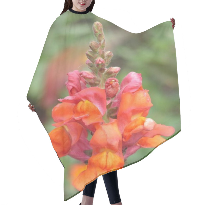 Personality  Beautiful Blooming Flowers, Nature Background Hair Cutting Cape