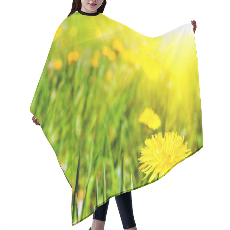 Personality  Summer Dandelions Hair Cutting Cape