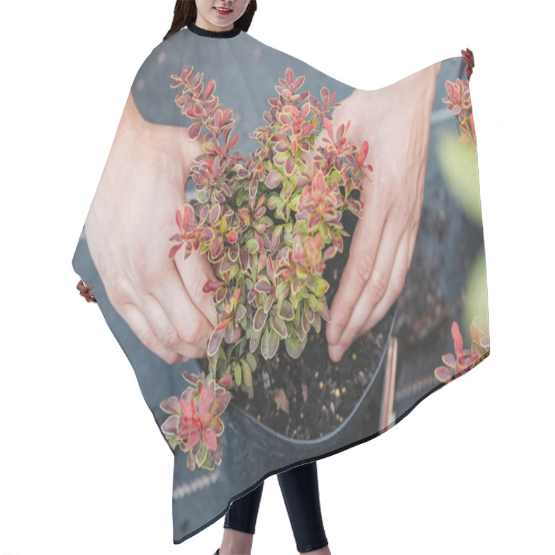 Personality  Gardener Planting Plant In Flowerpot Hair Cutting Cape