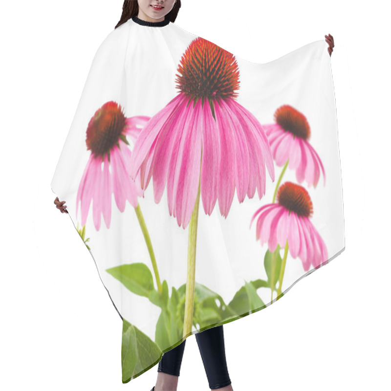 Personality  Coneflower Hair Cutting Cape