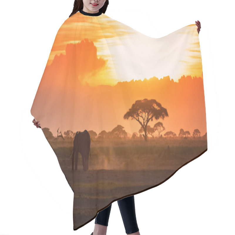 Personality  Lone Elephant Walking Through Amboseli National Park At Sunset, Against A Backdrop Of Dust And Acacia Tress.  Hair Cutting Cape