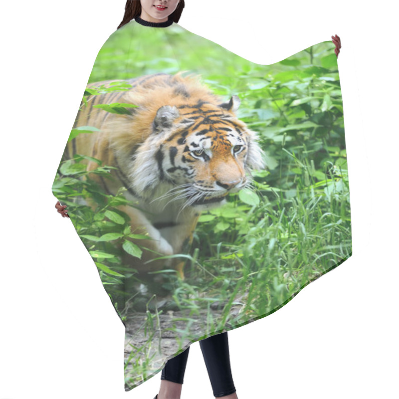 Personality  Tiger Hair Cutting Cape