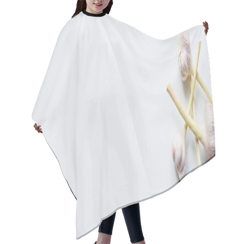 Personality  Top View Of Ripe Whole Garlic On White Background, Panoramic Shot Hair Cutting Cape