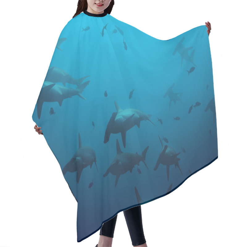 Personality  Hammerhead Sharks In The Blue Ocean Hair Cutting Cape