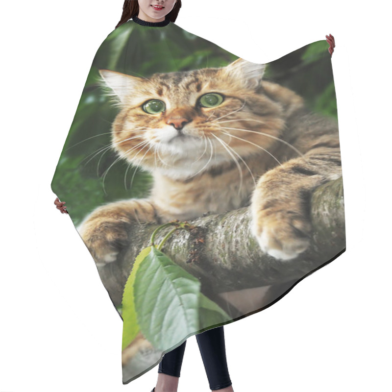 Personality  Cat On A Tree Branch Hair Cutting Cape