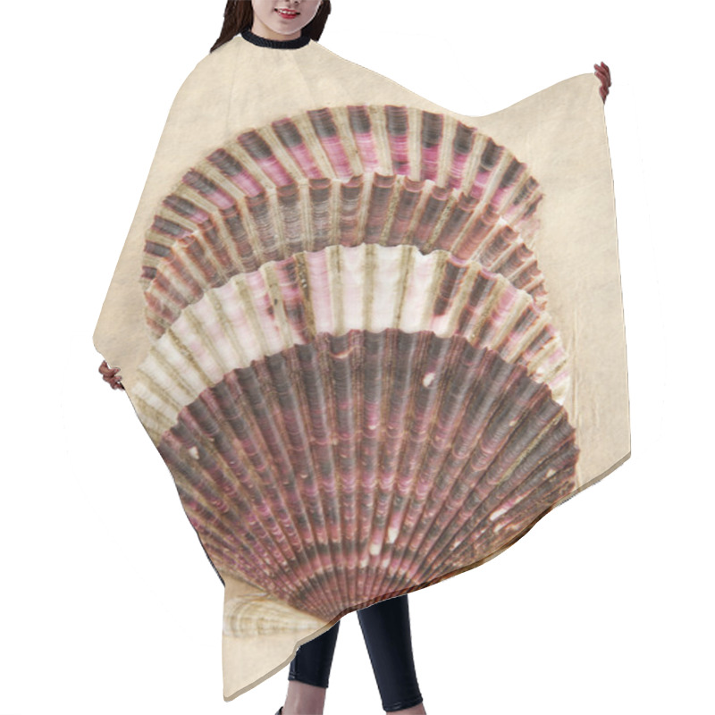 Personality  Four Stacked Scallop Shells. Hair Cutting Cape