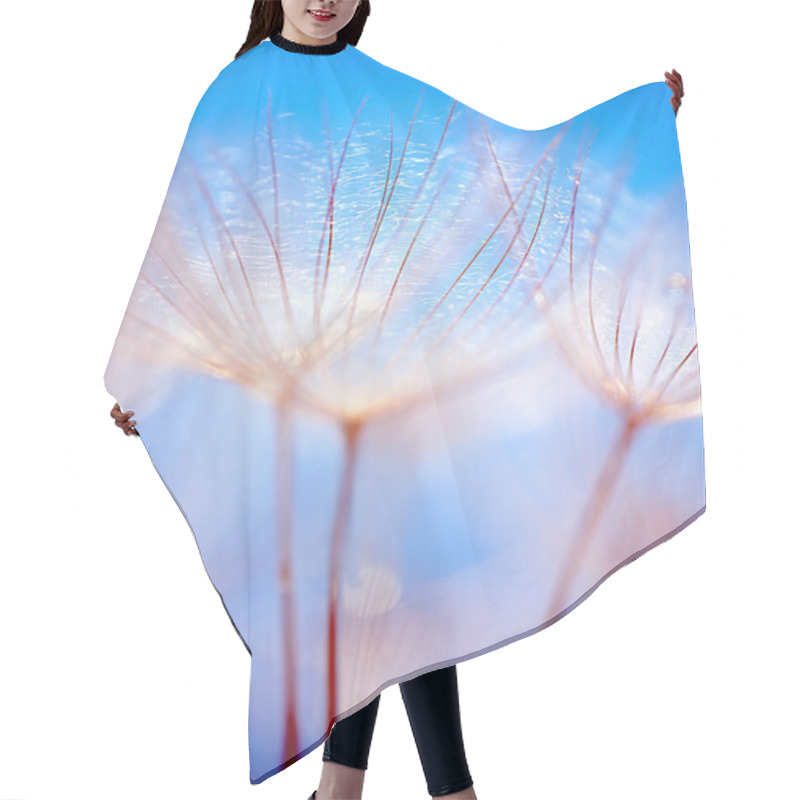 Personality  Abstract Dandelion Flower Background Hair Cutting Cape