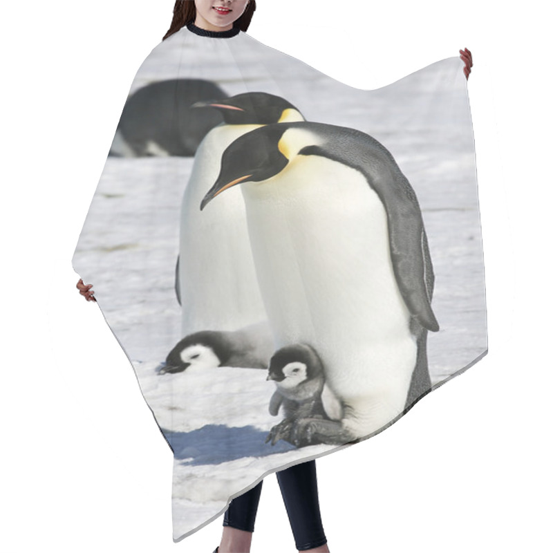 Personality  Emperor Penguins Hair Cutting Cape