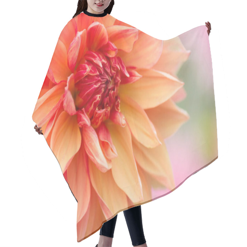 Personality  Beautiful Dahlia Flower. Hair Cutting Cape