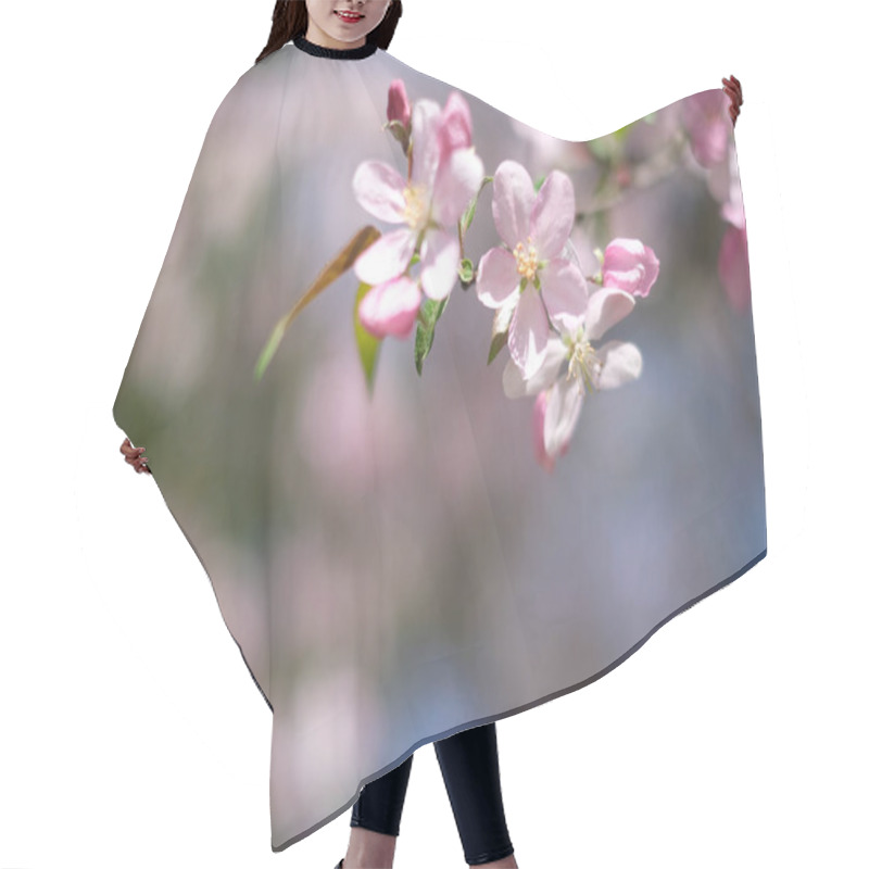 Personality  Spring Blossoming Tree With Pink Flowers, Close Up Hair Cutting Cape