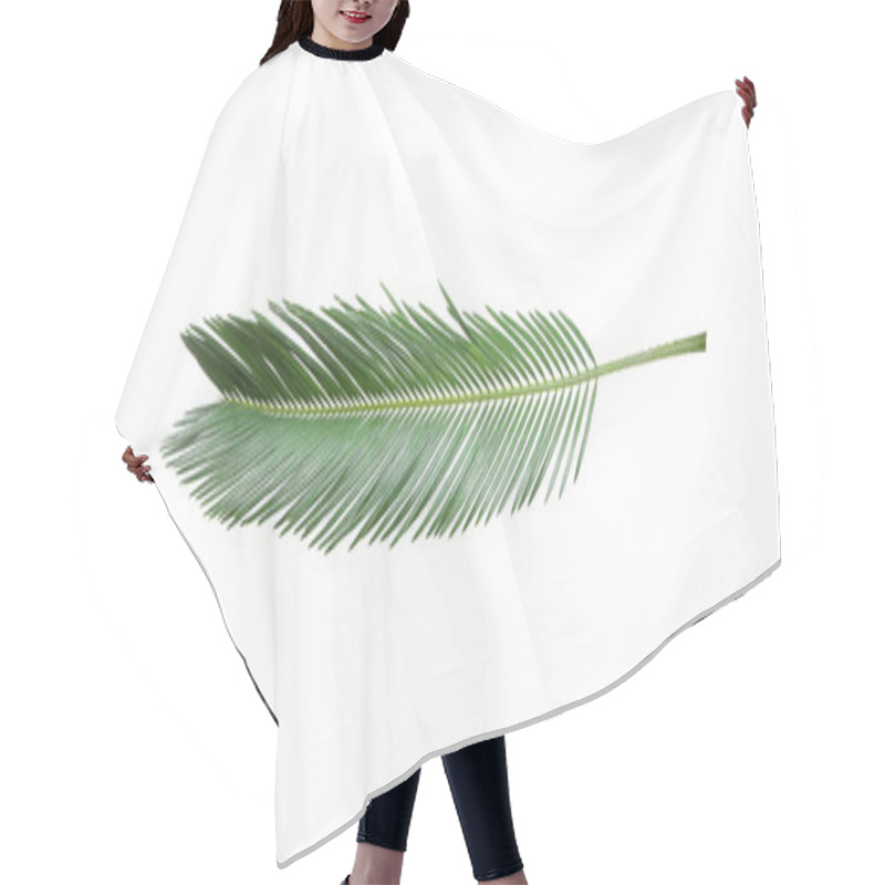 Personality  Beautiful Tropical Sago Palm Leaf On White Background Hair Cutting Cape