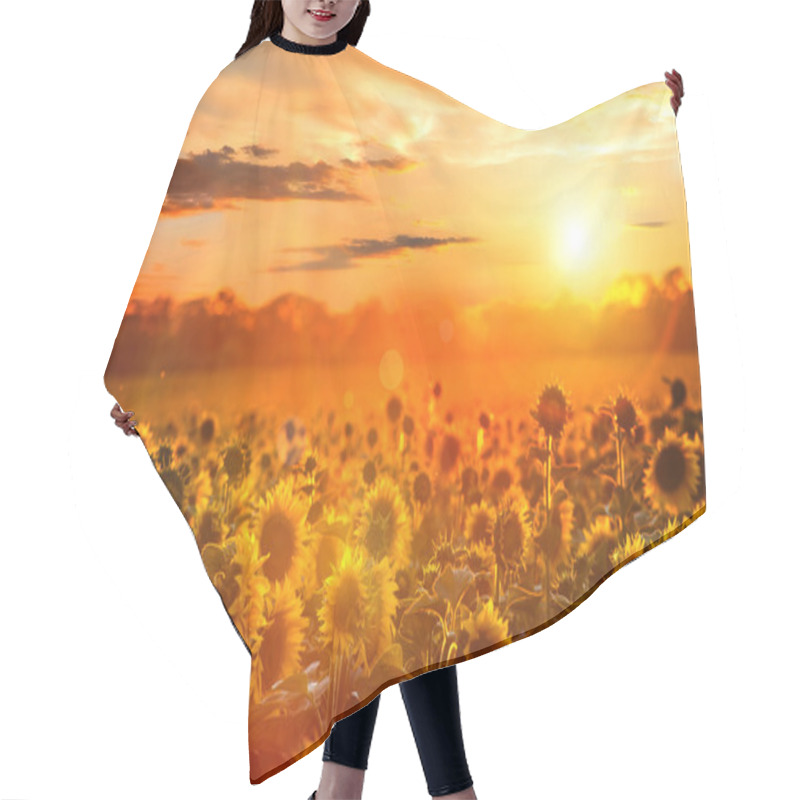 Personality  Summer Landscape: Beauty Sunset Over Sunflowers Field Hair Cutting Cape