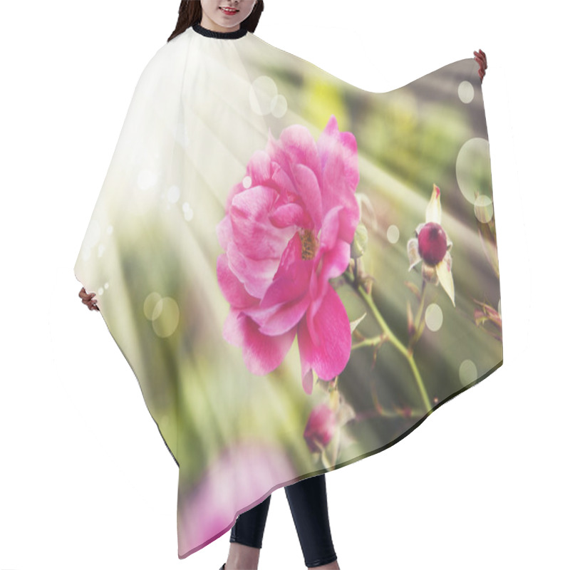 Personality  Red Pink Rose Hair Cutting Cape