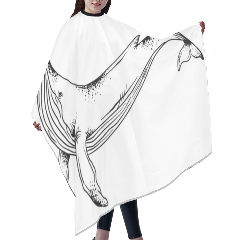 Personality  Vector Illustration Of A Whale On A White Background, Graphics, Hand Drawn Whales Hair Cutting Cape