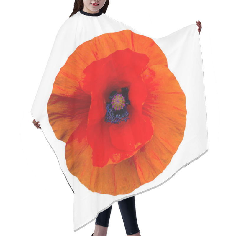 Personality  Poppy. Red Poppy Isolated On White Background.red Poppy. Beautif Hair Cutting Cape