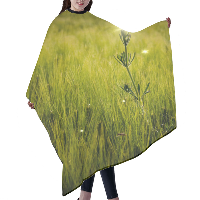 Personality  Fantasy Background Hair Cutting Cape