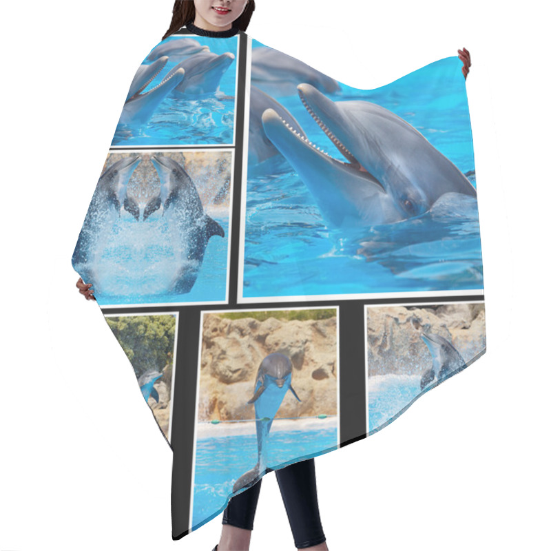 Personality  Collage Of Photos Of Dolphins In A Show Hair Cutting Cape