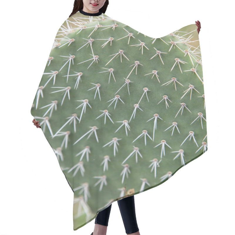 Personality  Cactus Hair Cutting Cape