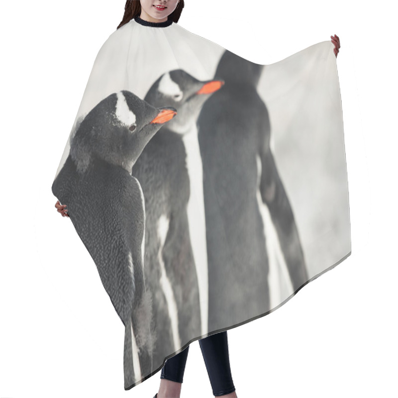 Personality  Three Identical Penguins Hair Cutting Cape