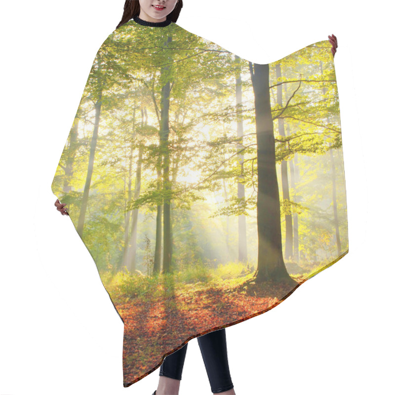 Personality  Forest Landscape In Poland Hair Cutting Cape