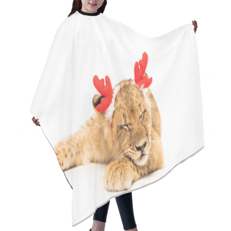 Personality  Cute Lion Cub With Closed Eyes In Red Deer Horns Headband Isolated On White Hair Cutting Cape