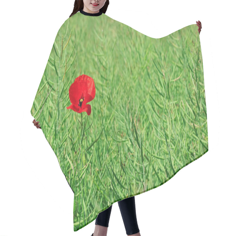 Personality  Red Poppy In Field Rapeseed Hair Cutting Cape