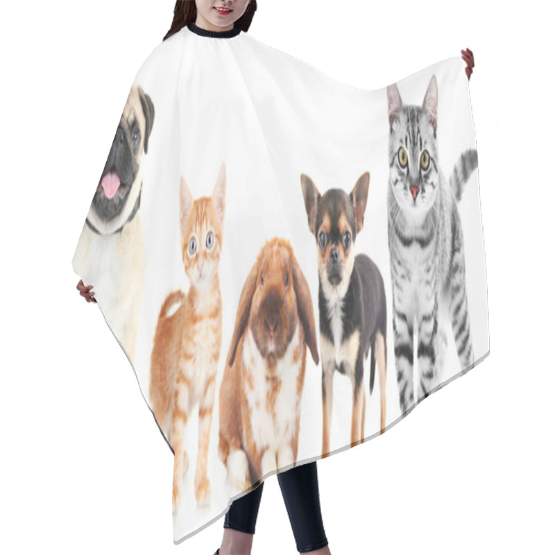 Personality  Cute Friendly Pets Hair Cutting Cape