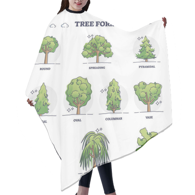 Personality  Tree Forms Or Wood Vegetation Shapes With Various Examples Outline Collection. Labeled Educational Variation Set With Different Forest Plants And Biological Division And Types Vector Illustration. Hair Cutting Cape