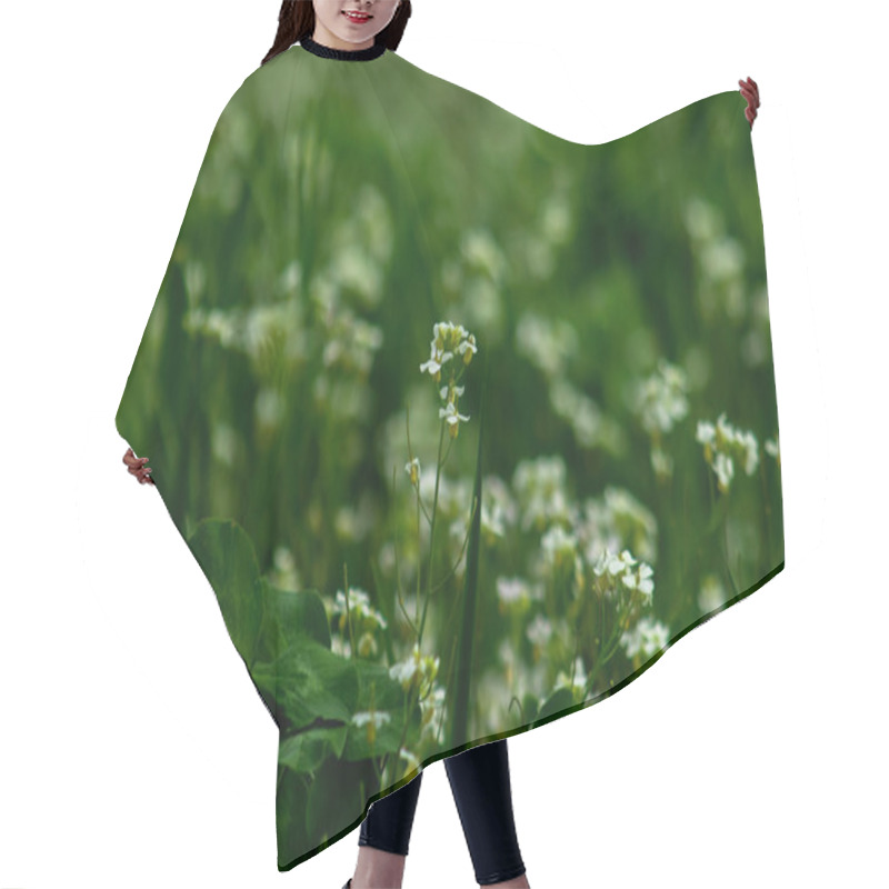 Personality  Delicate White Flowers Scattered Among Vibrant Green Grass, Capturing The Simplicity And Beauty Of Nature In A Peaceful Outdoor Setting Hair Cutting Cape