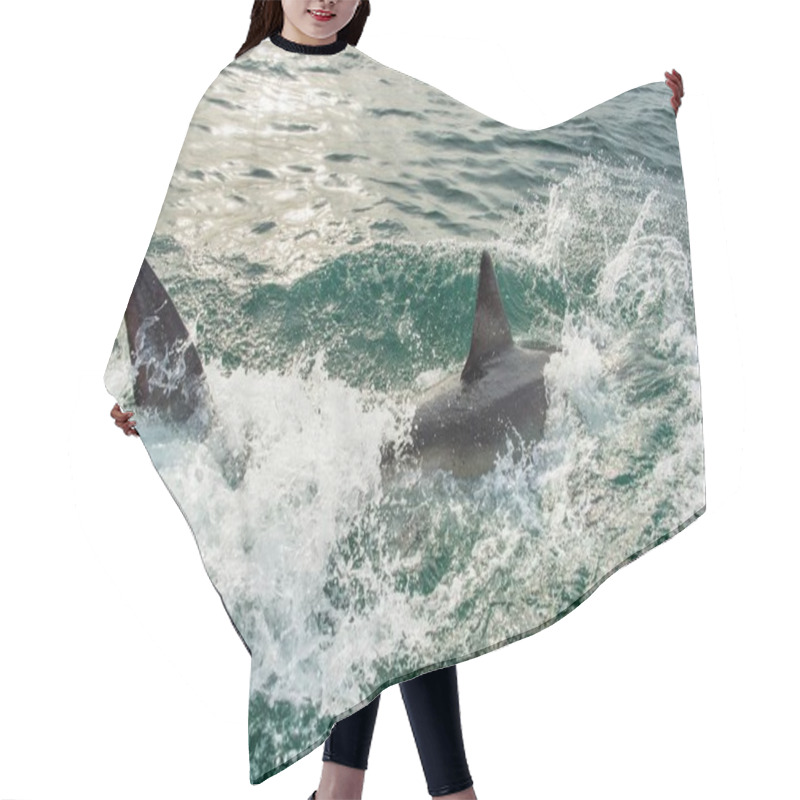 Personality  Great White Shark In Ocean An Attack Hair Cutting Cape