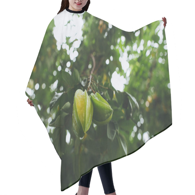 Personality  Carambola Hair Cutting Cape