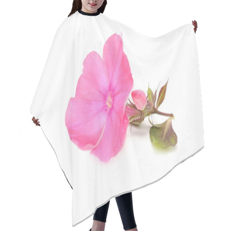 Personality  Pink Phlox Flower With Bud Hair Cutting Cape