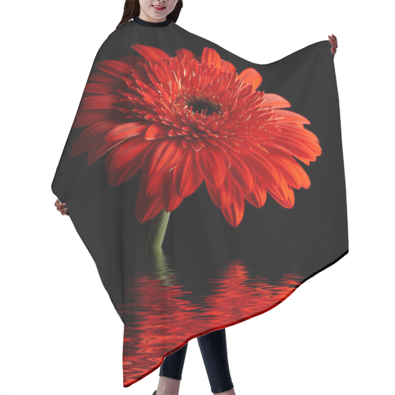 Personality  Red Daisy-gerbera On Black Background Hair Cutting Cape